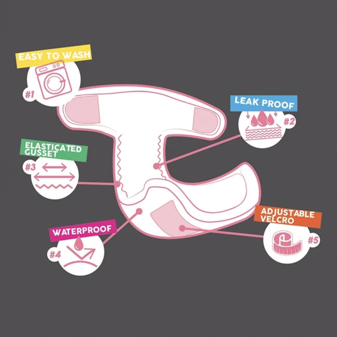 Wrappah Hondenbroekje Wasbaar – Maat S (30–39 cm) - Afbeelding 2