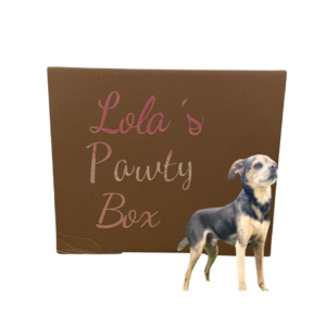 5 Lola’s Verjaardagsbox S – Honden Verjaardagsbox vol Verrassingen
