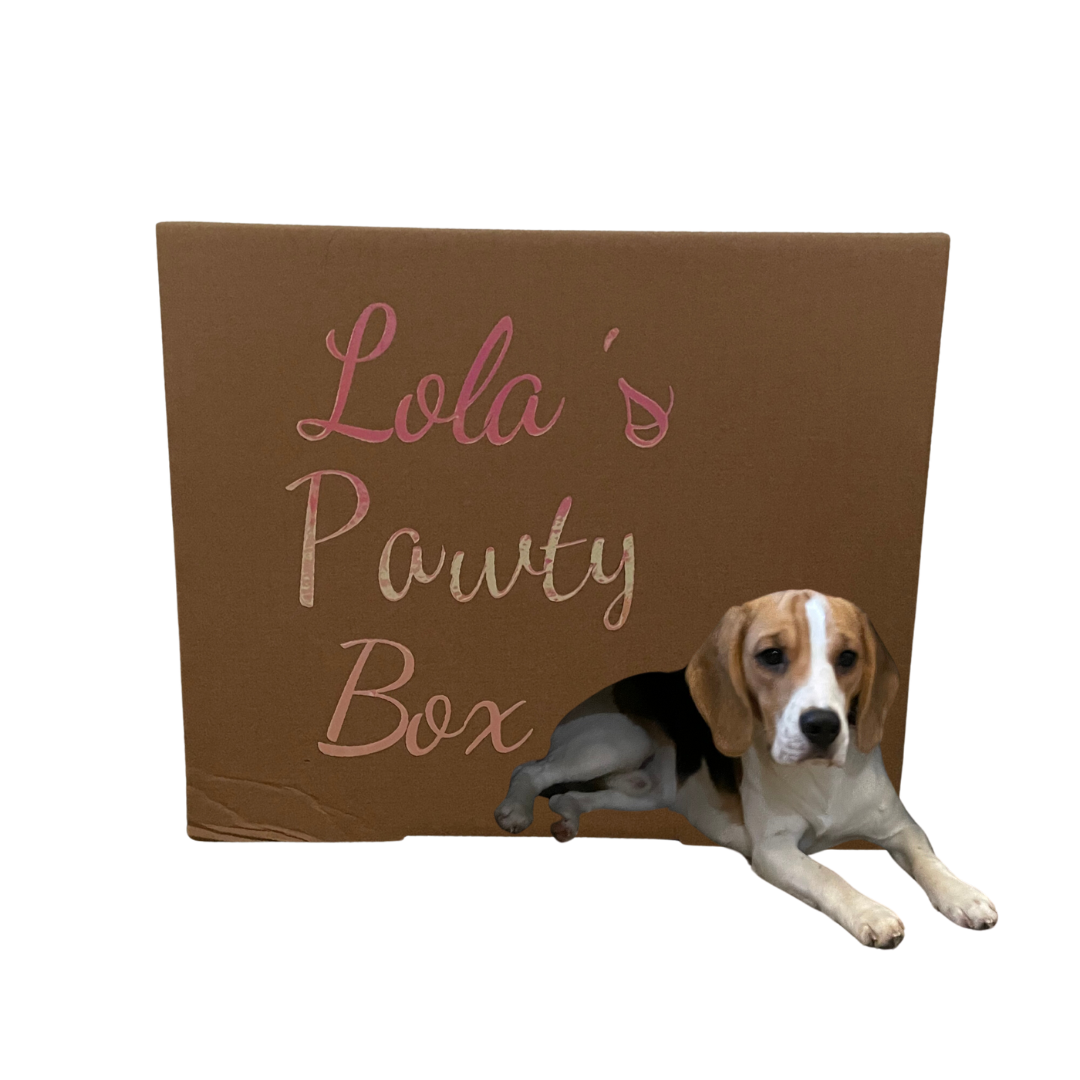 Lola’s Verjaardagsbox M – Honden Verjaardagsbox met Speeltjes & Snacks