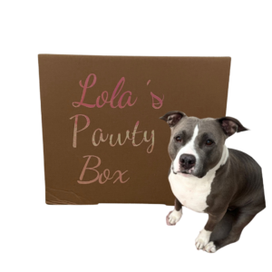 8 Lola’s Verjaardagsbox L – Honden Verjaardagsbox met Cadeautjes & Snacks