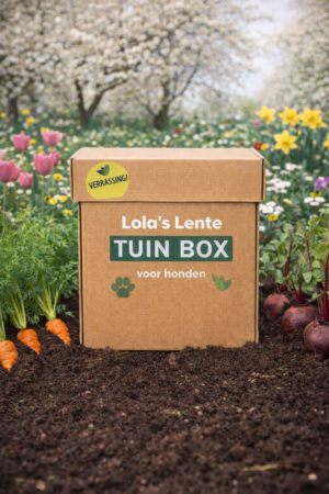 ChatGPT Image 8 feb 2026, 12_15_05 Lola’s Seizoensbox – Lente & Tuin 🐾🌼
